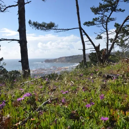 Апартаменты Bed & Seaside - Bola Da Nivea Назаре