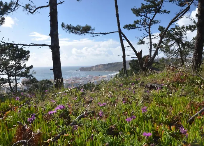 Apartmán Bed & Seaside - Bola Da Nivea Nazaré